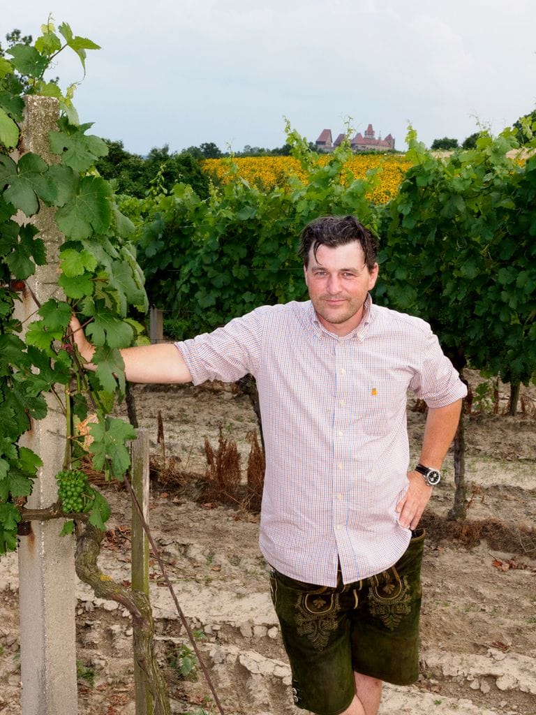 Der Winzer zwischen den Rebzeilen im Weingarten